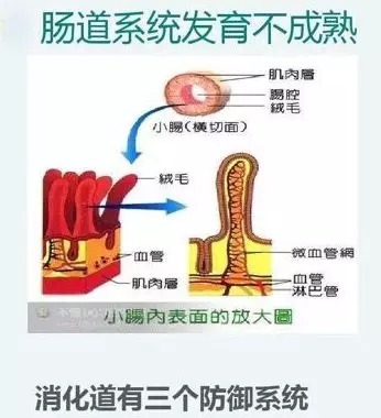 下载 (31).jpg